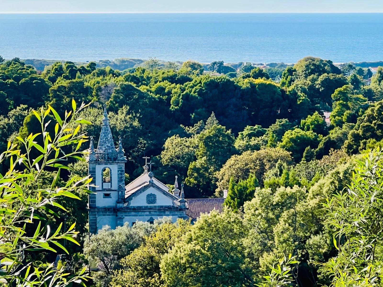 The Convento's church tower rising from the woods, the Atlantic beyond
